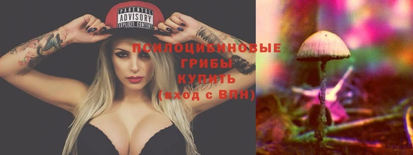ГАЛЛЮЦИНОГЕННЫЕ ГРИБЫ Алексин