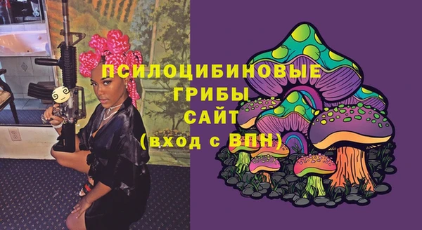 ГАЛЛЮЦИНОГЕННЫЕ ГРИБЫ Алексин