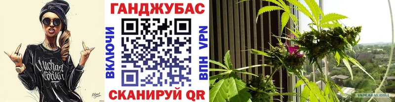 Каннабис план  продажа наркотиков  Лабытнанги 